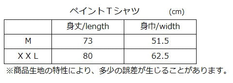 Paint T-Shirt - White - English size and fit guide